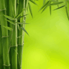 Гадание на бамбуковых палочках
